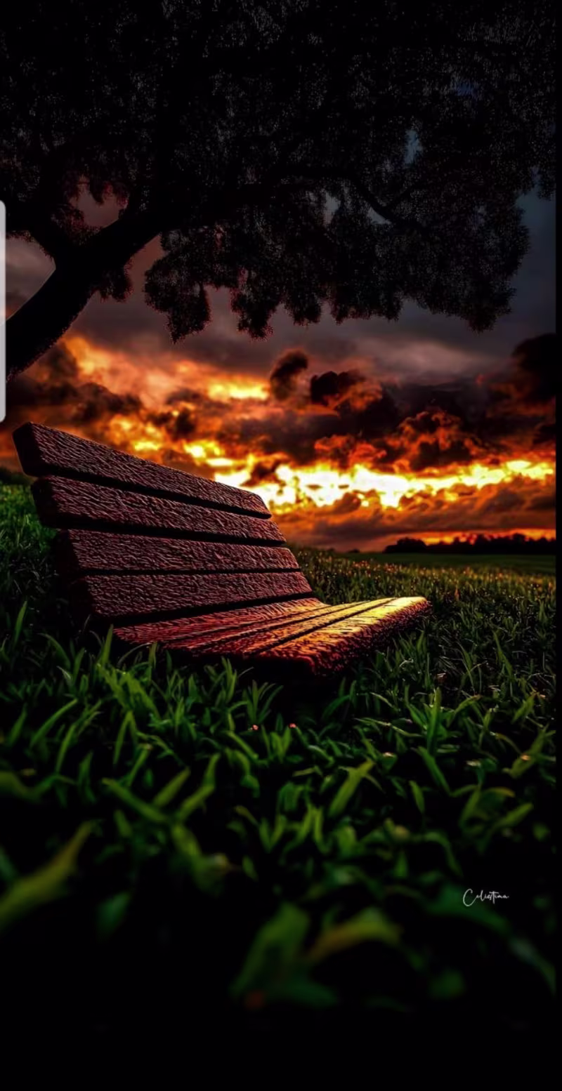 Cover image for Tech Industry Expertise and Solutions