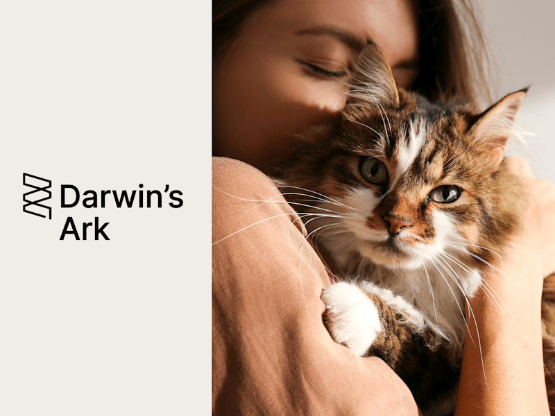 Cover image for Digital Marketing and Communications for Darwin's Ark Foundation