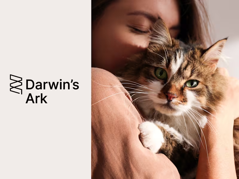 Cover image for Digital Marketing and Communications for Darwin's Ark Foundation