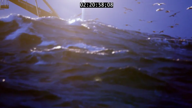 Cover image for Deadliest Catch - Scandies Rose