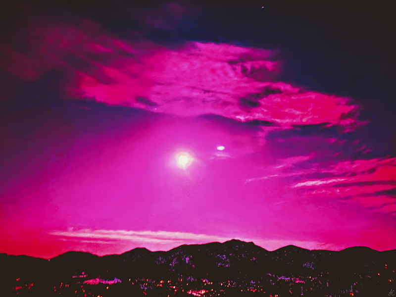 Cover image for The Pink Camera Art Project