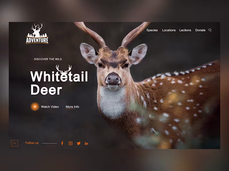 Cover image for Figma website design, Figma landing page design, Website mockup