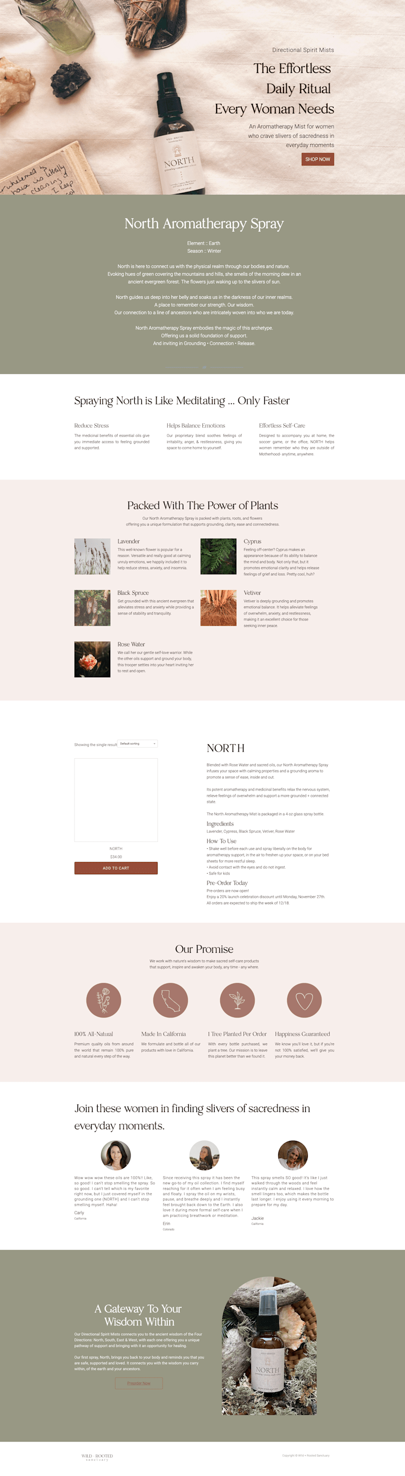 Cover image for Wild and Rooted Sales Page and Product Launch
