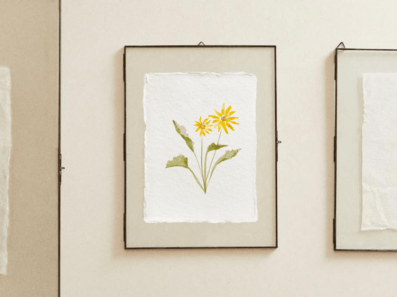 Cover image for Watercolor Illustration