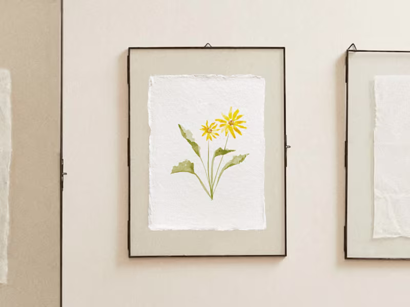 Cover image for Watercolor Illustration