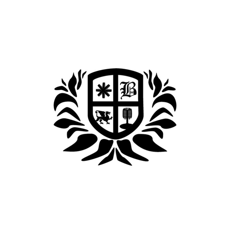 Cover image for Burnzlo Branding Strategy 