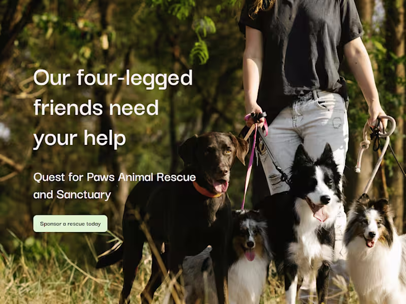 Cover image for NGO sample website