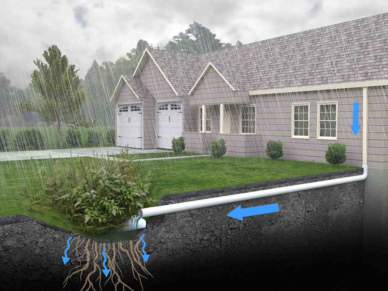 Cover image for A Homeowner’s Guide To Rain Gardens