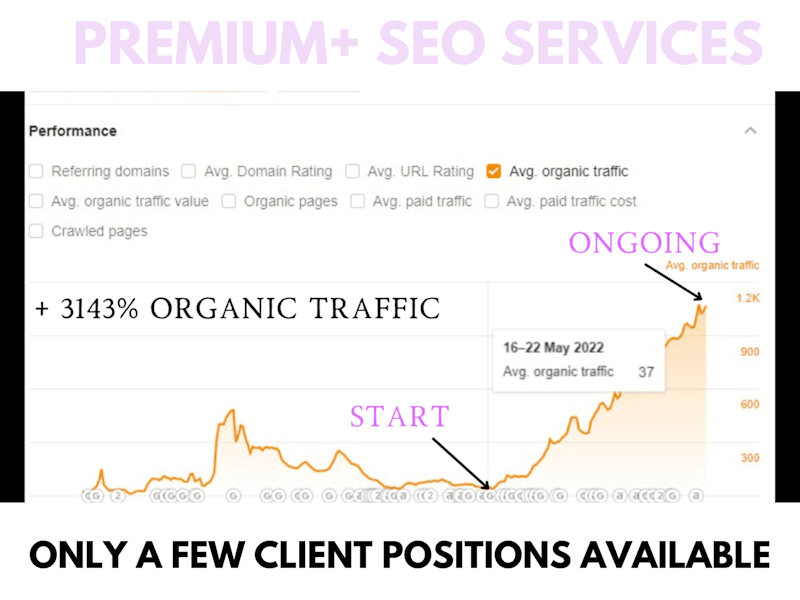 Cover image for 3143% Increase of Organic Traffic for eCommerce Brand