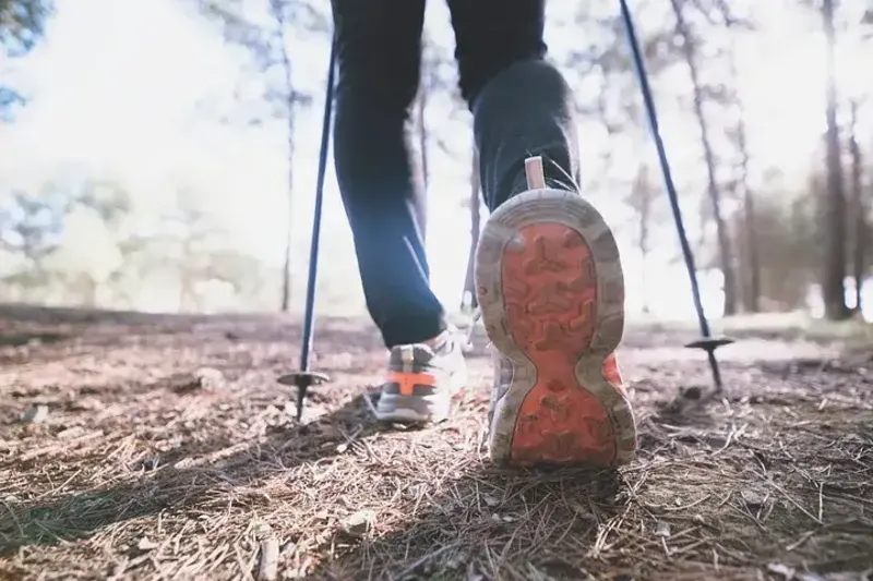 Cover image for Nordic Walking: The Rare Phenomenon