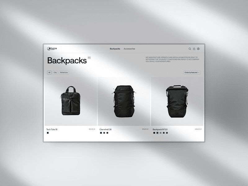 Cover image for Haize Project · Website Redesign