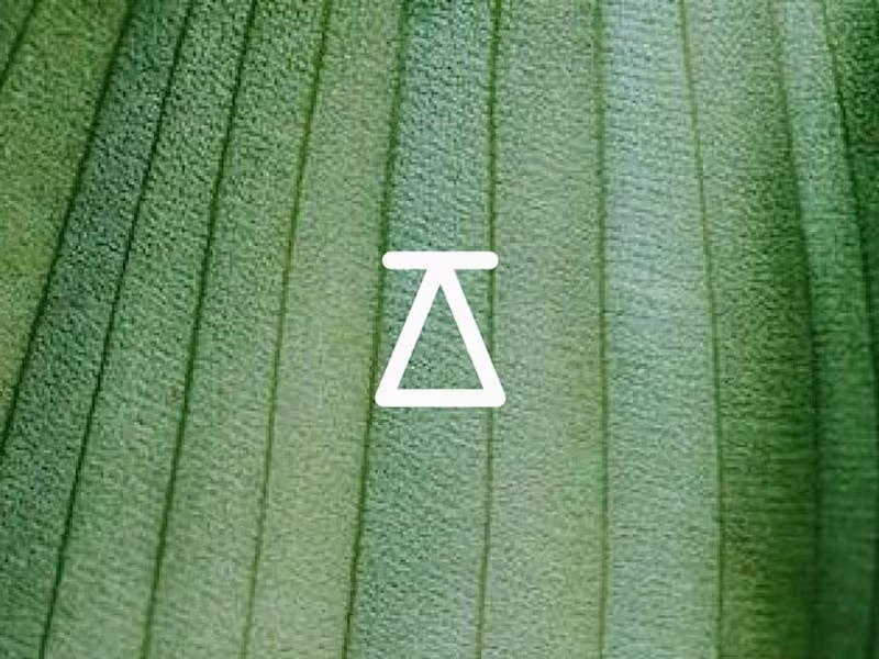 Cover image for Logo and corporate image for Social Networks for ĀTMAN on Behan…