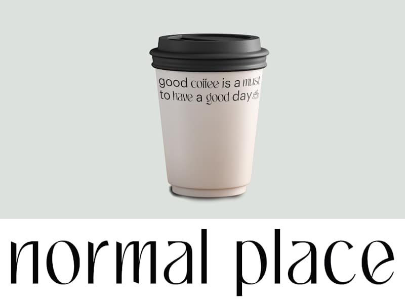 Cover image for The Normal Place