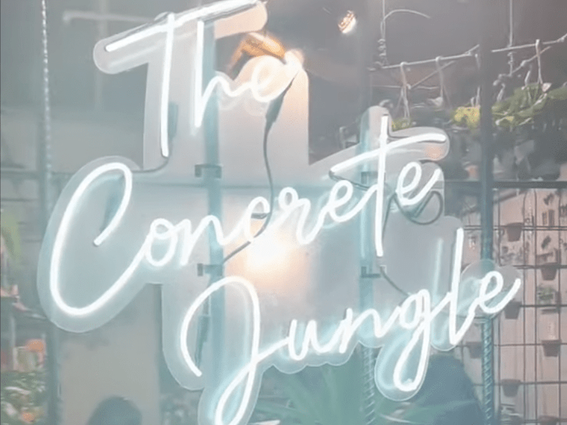 Cover image for Cafe highlight: The Concrete Jungle