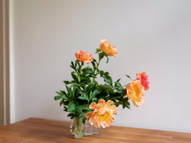 Cover image for 1:1 social media consultation