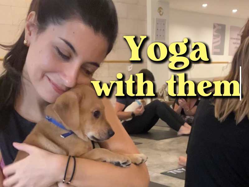 Cover image for UGC Content - Puppy Yoga Classes in Buenos Aires