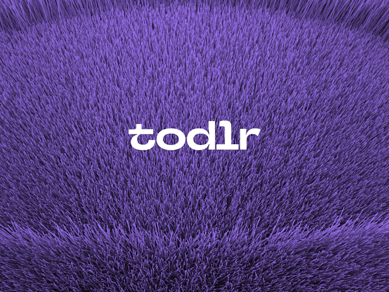 Cover image for Brand Design for Todlr