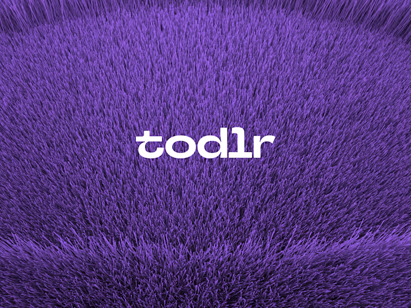 Cover image for Brand Design for Todlr