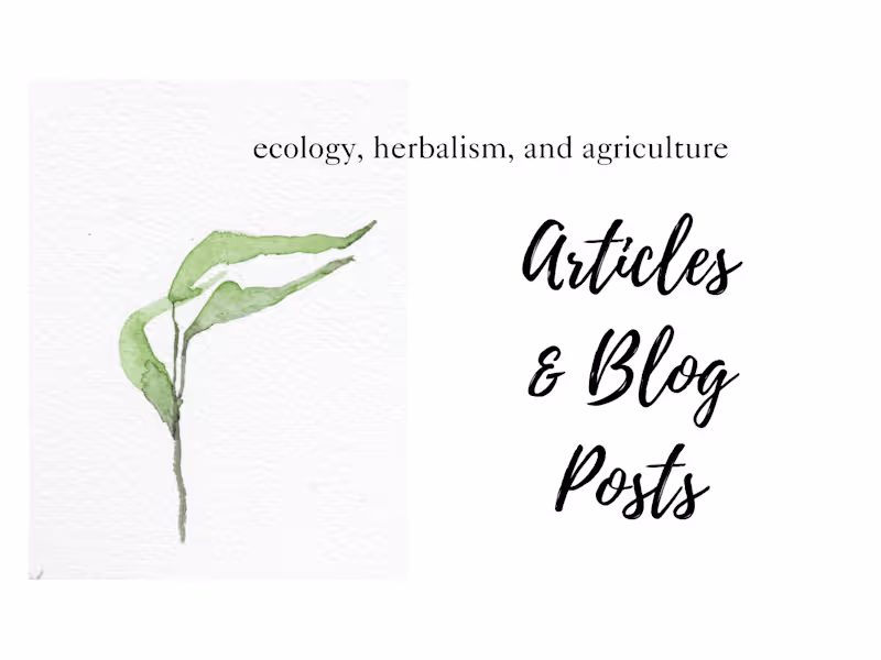 Cover image for Researched Blog Posts 