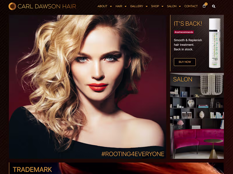 Cover image for Hair Colourist Website