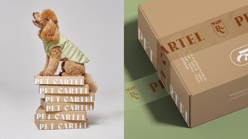 Cover image for Identity design for dog's clothes brand