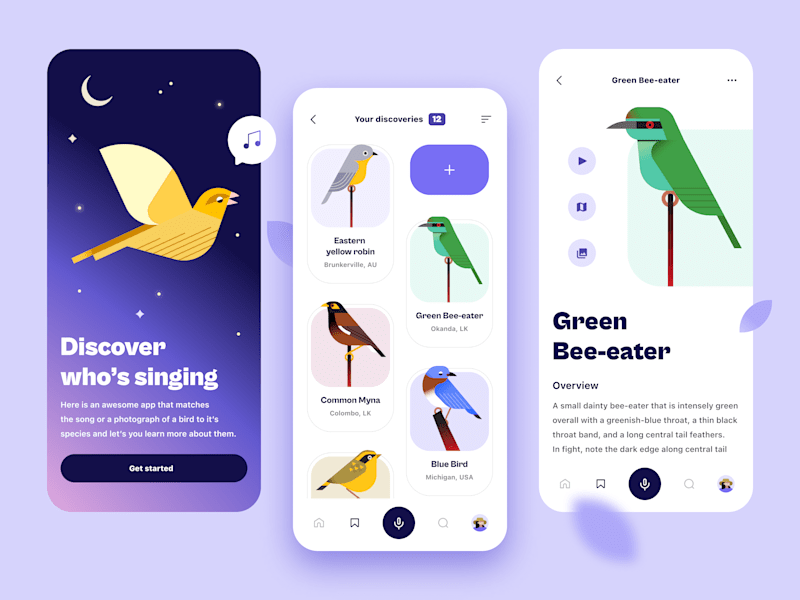 Cover image for Bird Shazam app concept