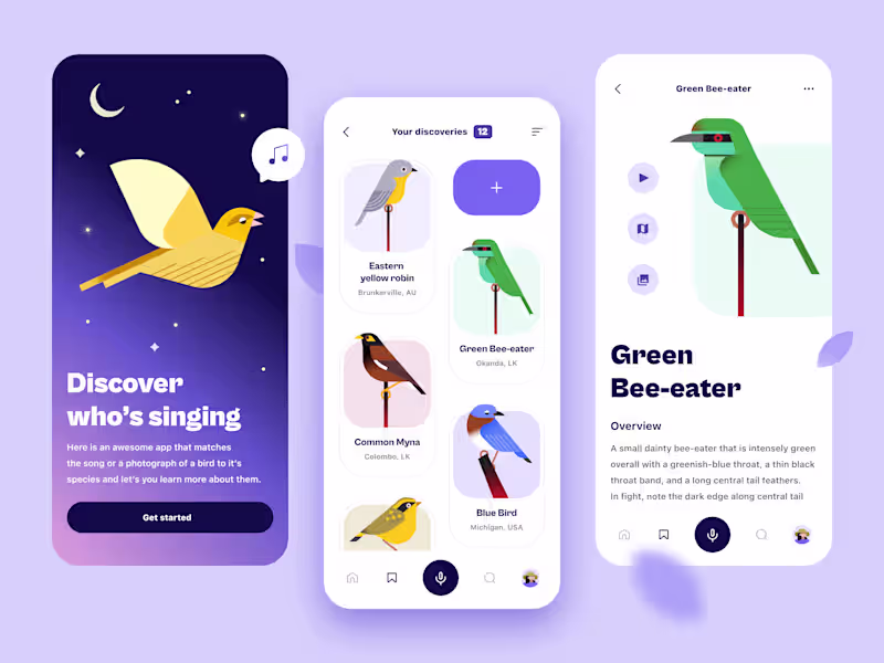Cover image for Bird Shazam app concept