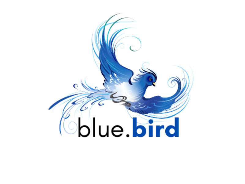 Cover image for Graphic design 