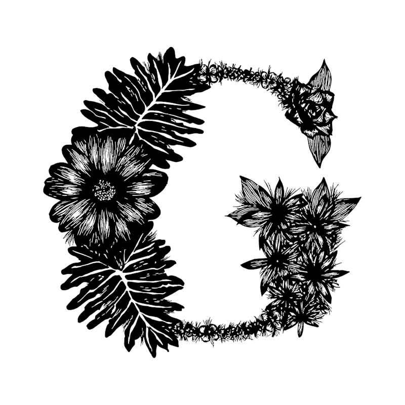 Cover image for Illustrated Lettering with flowers