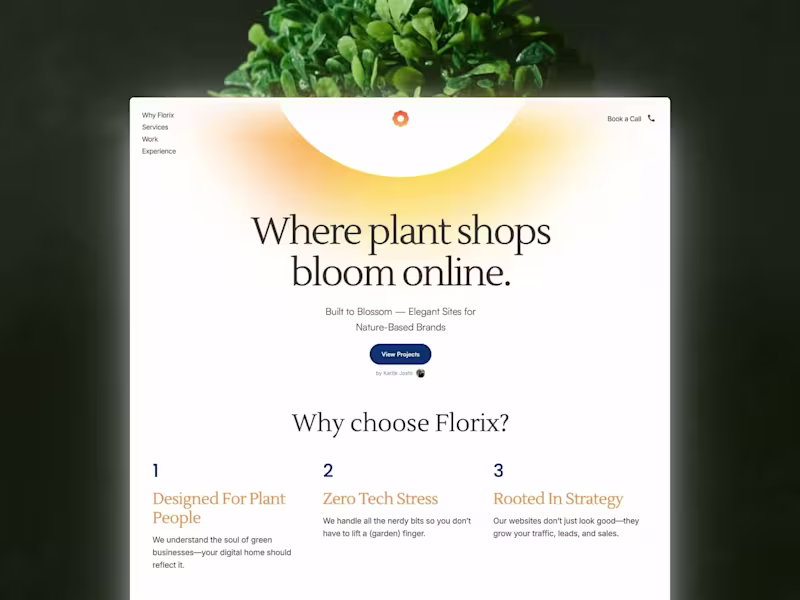 Cover image for Conversion Based Landing Page