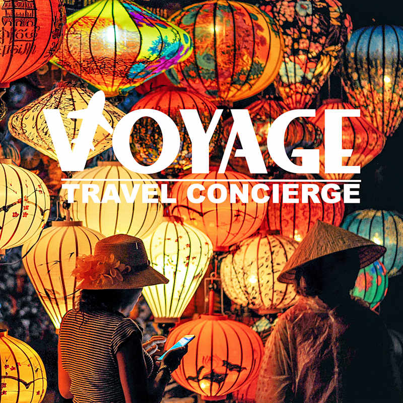 Cover image for Voyage