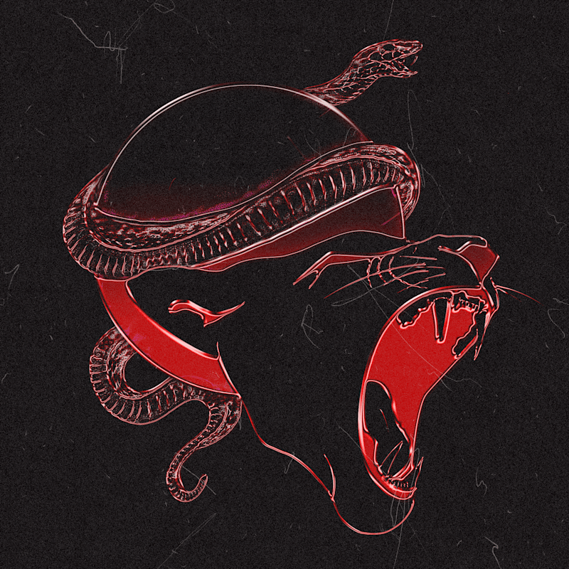 Cover image for Brand Identity for Music Artist 'The Daze'