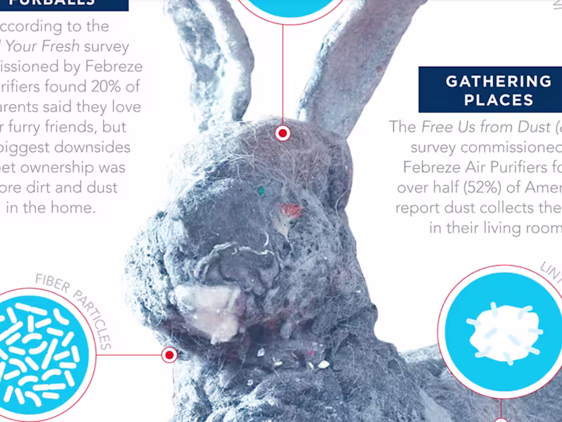 Cover image for Infographic for Febreze