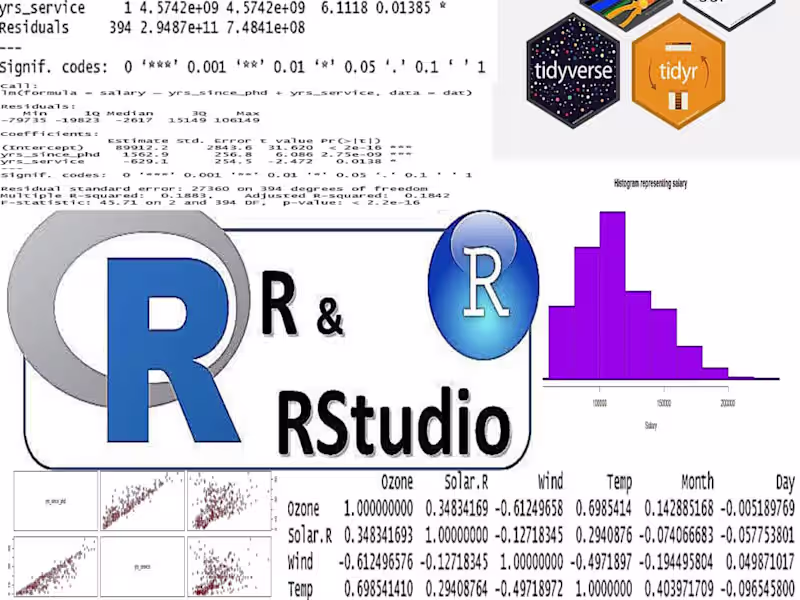 Cover image for You will get professional data analysis with rstudio | R