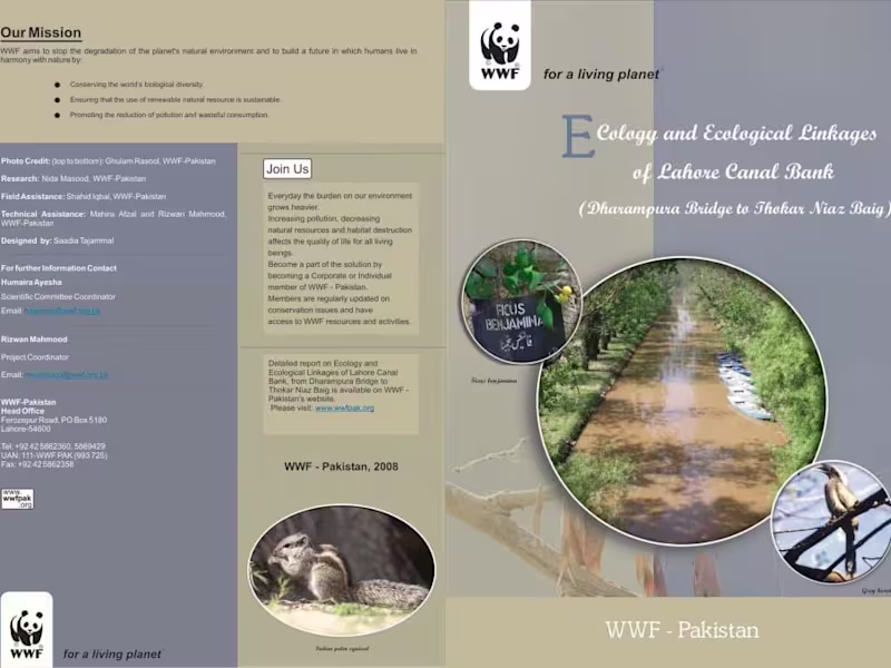 Cover image for Tri-fold for a non-profit organization