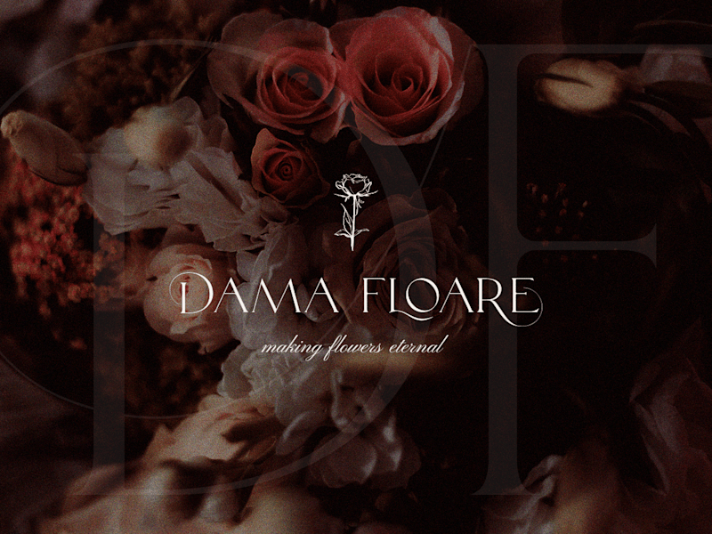 Cover image for DAMA FLOARE / Brand Identity 