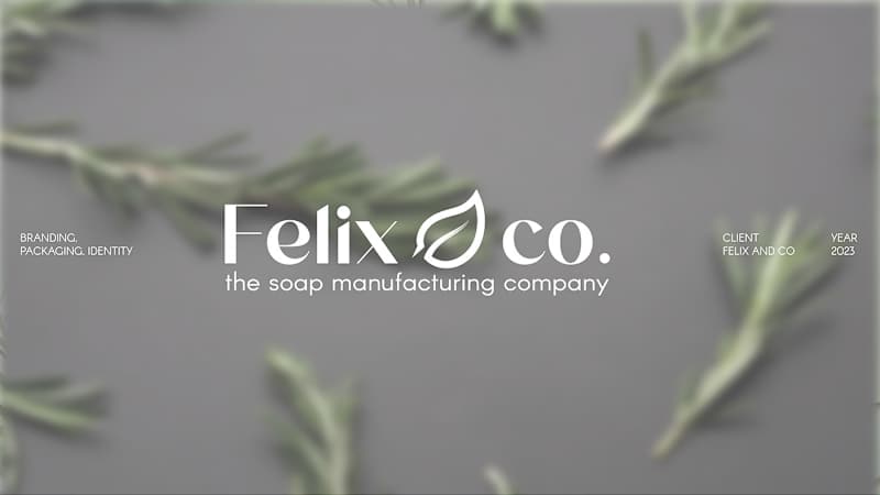 Cover image for Soap "Felix&Co."