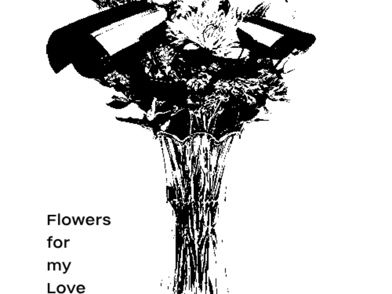 Cover image for Graphic designing services with a focus on uniqueness