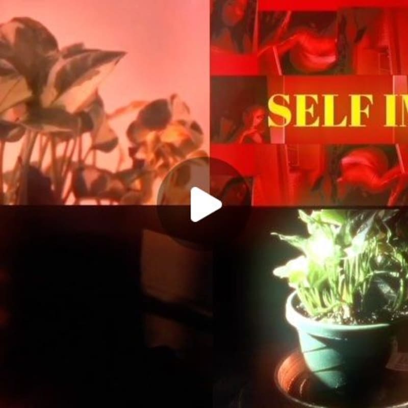 Cover image for Cinematography compilation 