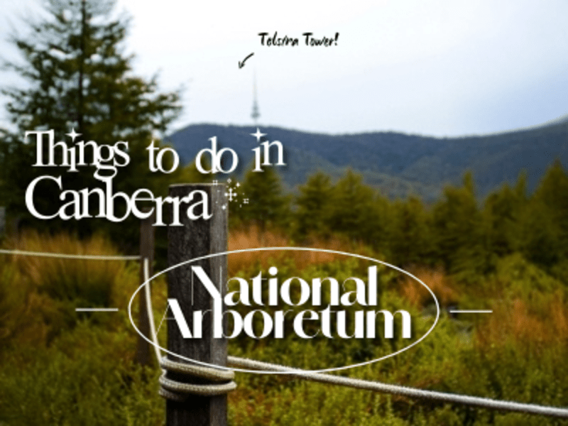Cover image for Photography & Graphic Design for National Arboretum Canberra