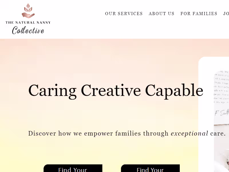 Cover image for The Natural Nanny Collective