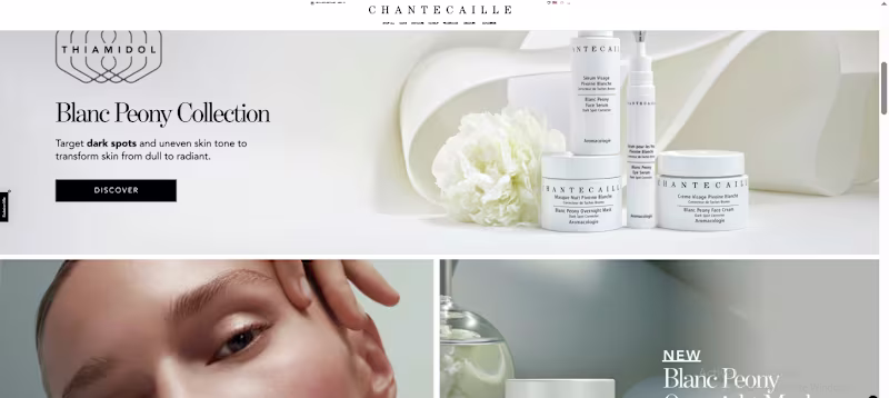 Cover image for I developed this custom e-commerce