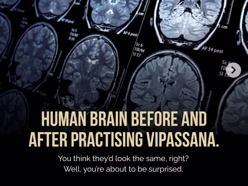 Cover image for Six months deep into building something I can't stop thinkin...