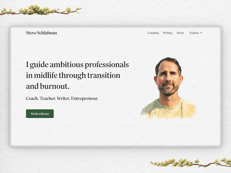 Cover image for Website design & development for Steve Schlafman