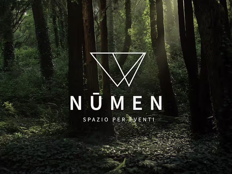 Cover image for Numen