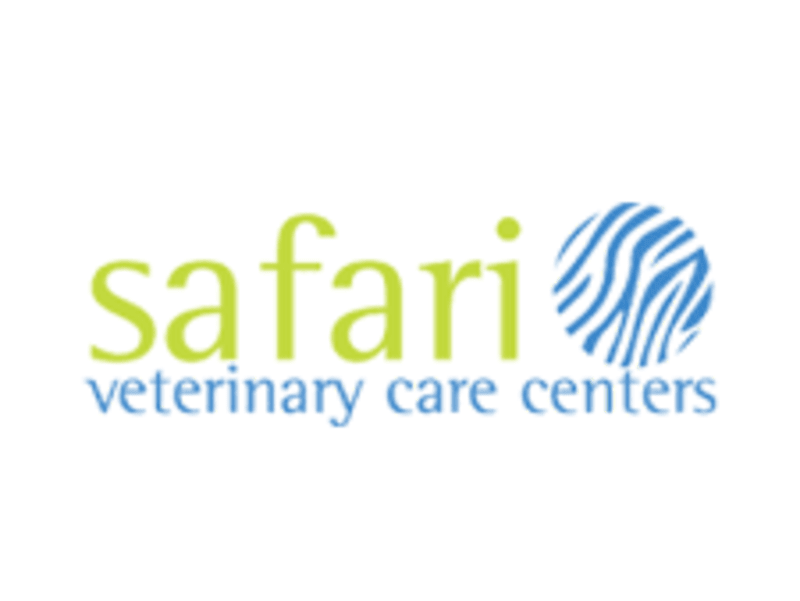 Cover image for SAFARI