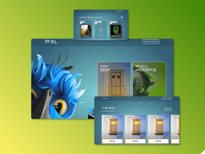 Cover image for Dapp Development for The Hoopas  