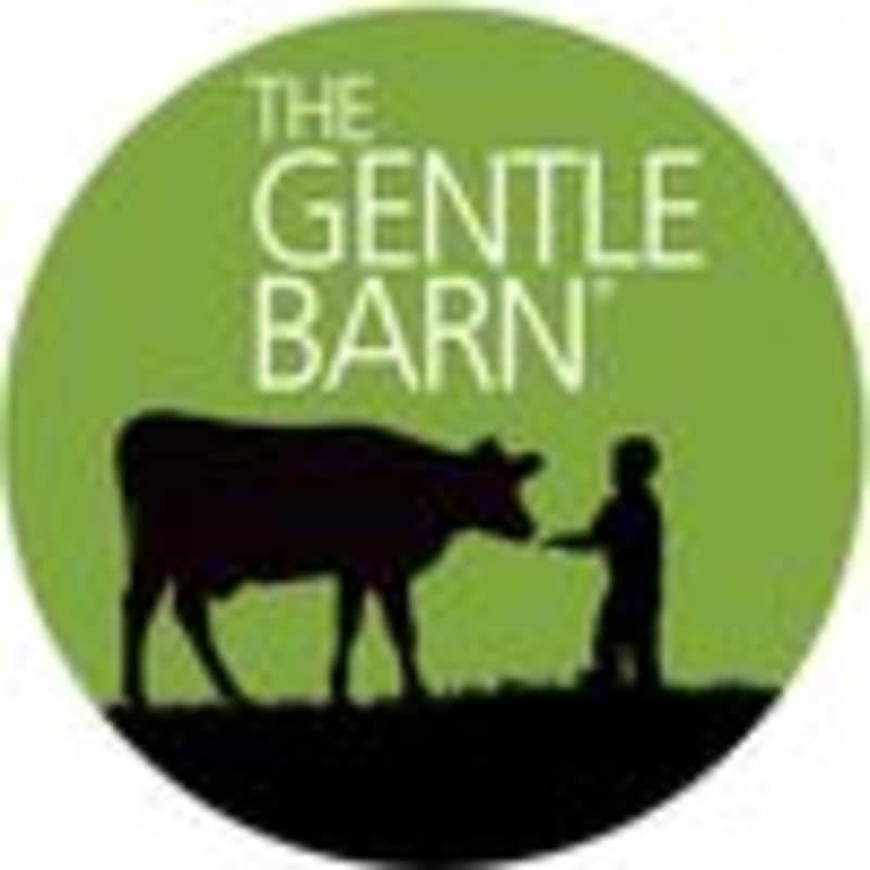 Cover image for The Gentle Barn and Founders Social Media Management Clients