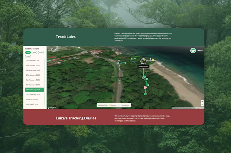 Cover image for The team at Kue and