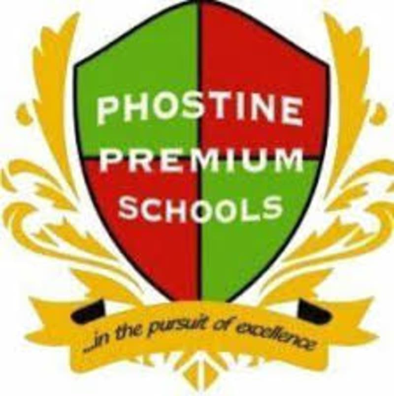 Cover image for Support Efficiency Improvement Project for Phostine Premium Sch
